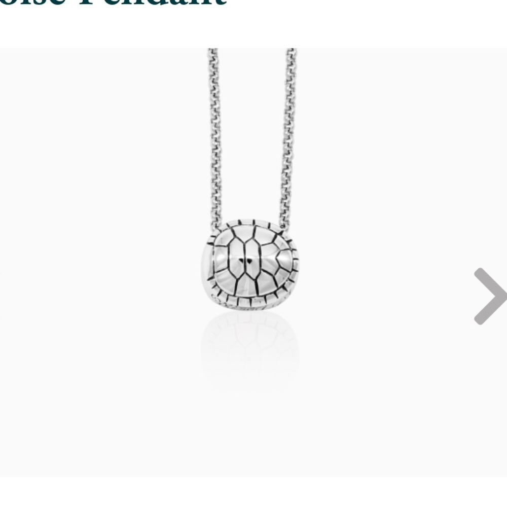 Mignon Faget Tortoise Pendant on Round Snake Chain 🐢 💚